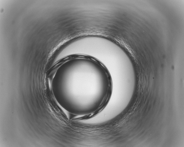 X0000087050684200704251004