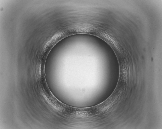 X0000087050686200704251004