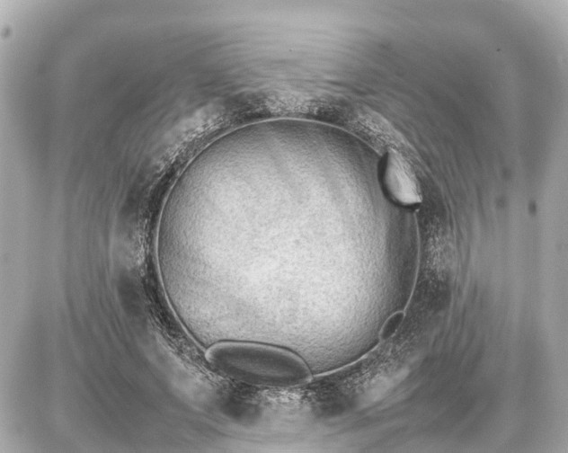 X0000087050687200704251004