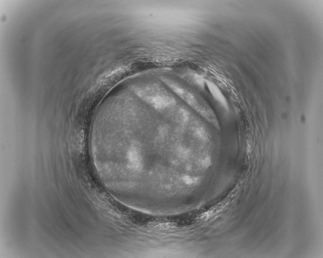 X0000087050689200704251004