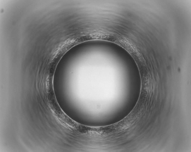 X0000087050690200704251004