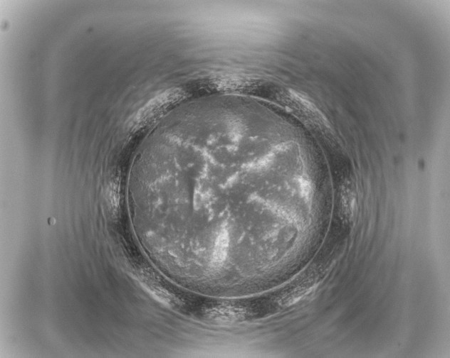 X0000087050691200704251004