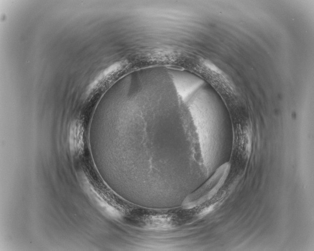 X0000087050692200704251004