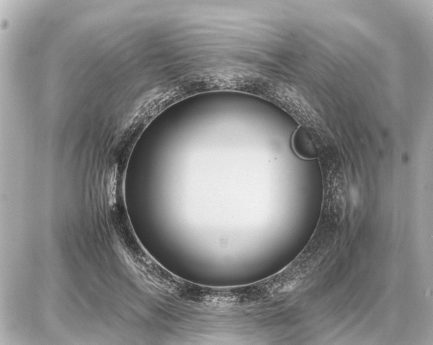 X0000087050694200704251004