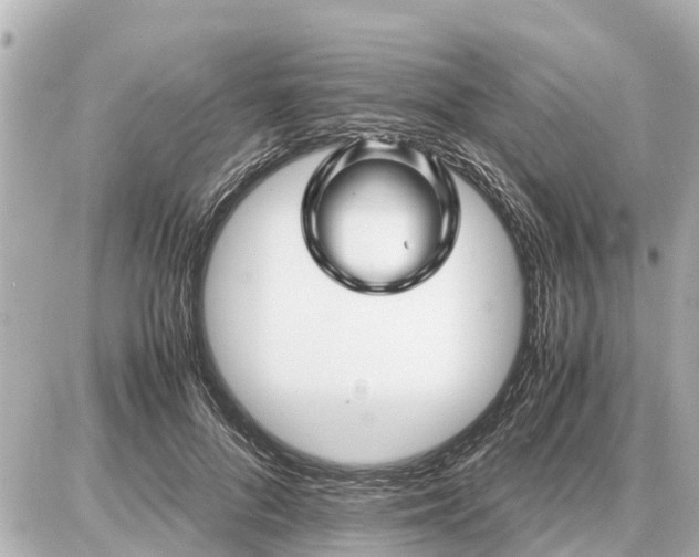 X0000087050696200704251004