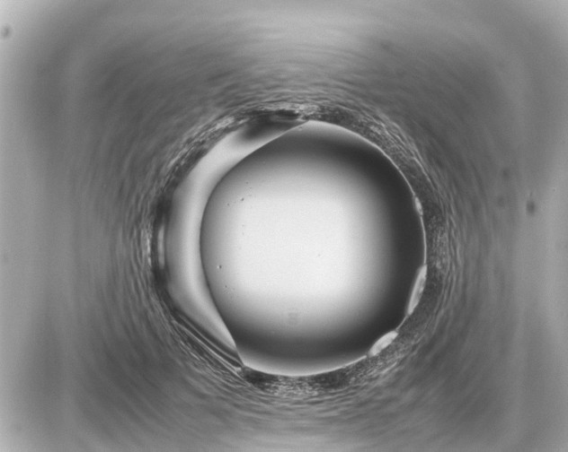 X0000087050697200704251004