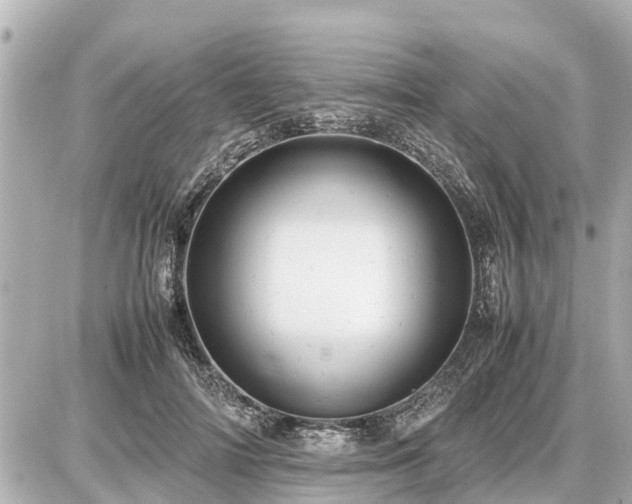 X0000087050698200704251004