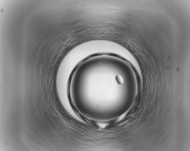 X0000087050699200704251004