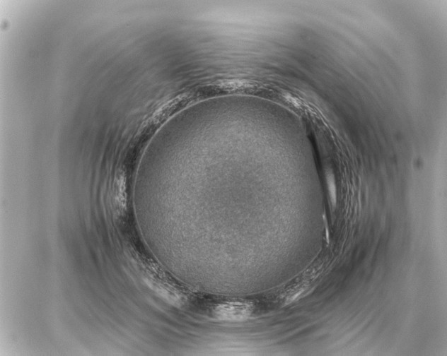 X0000087050700200704251004