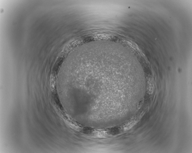 X0000087050701200704251004