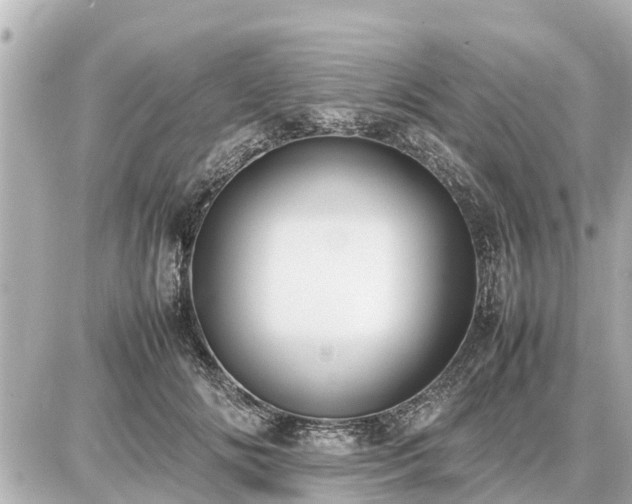 X0000087050702200704251004