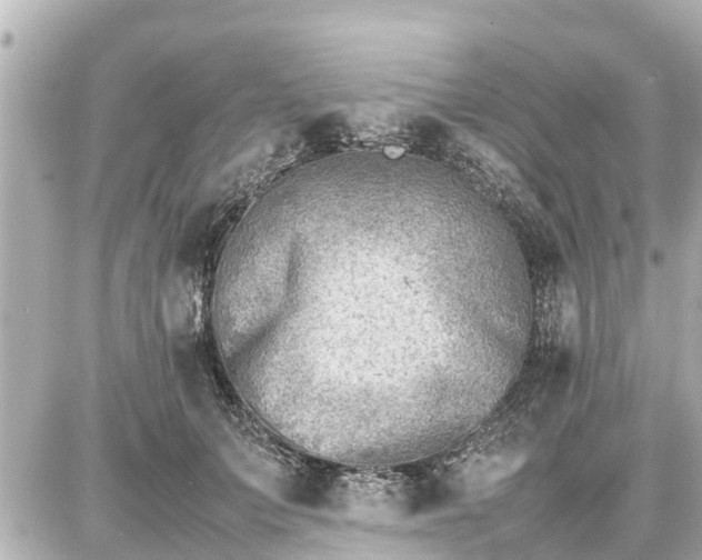 X0000087050703200704251004