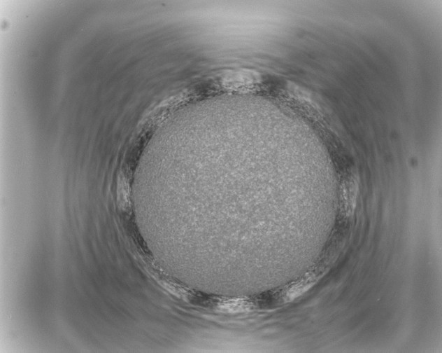 X0000087050705200704251004