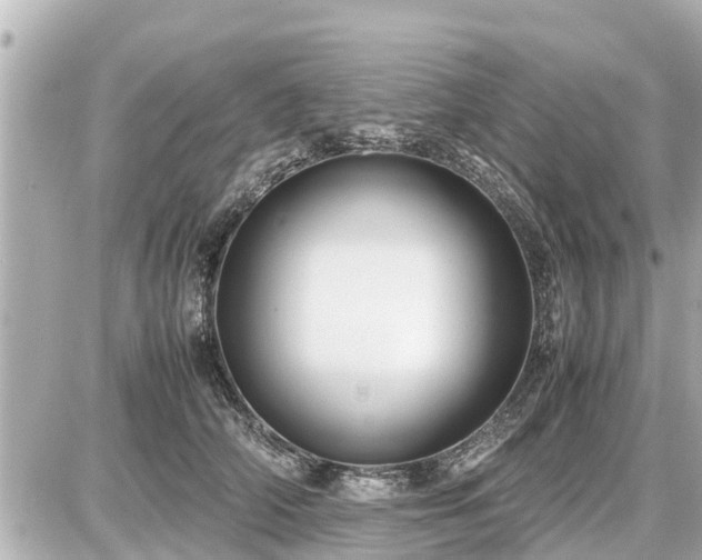 X0000087050706200704251004