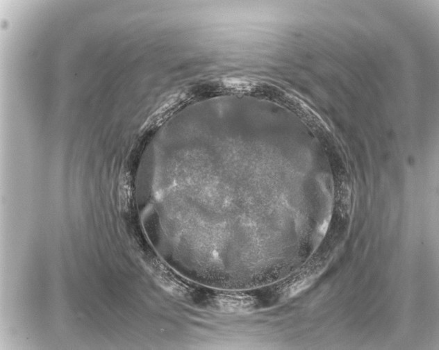 X0000087050707200704251004