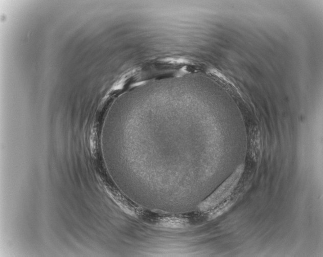 X0000087050708200704251004