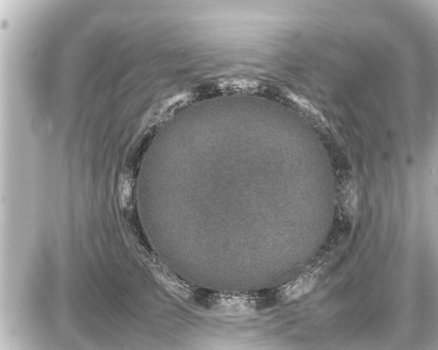 X0000087050709200704251004