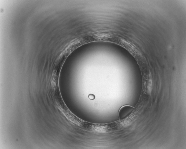 X0000087050710200704251004