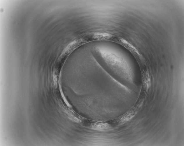 X0000087050716200704251004