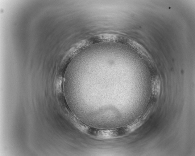 X0000087050717200704251004