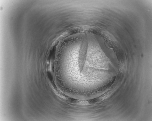 X0000087050719200704251004