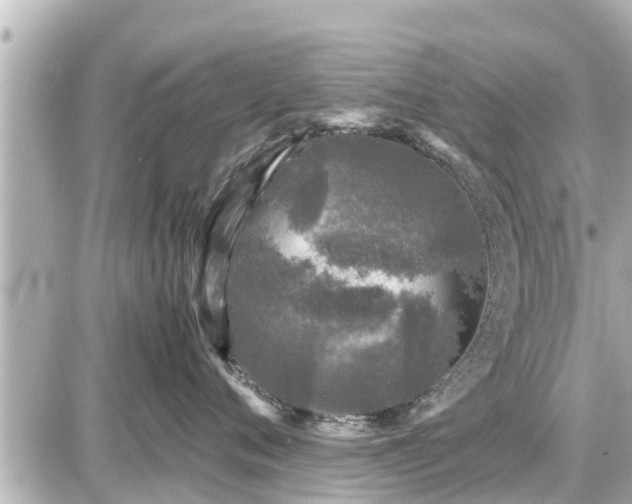 X0000087050720200704251004