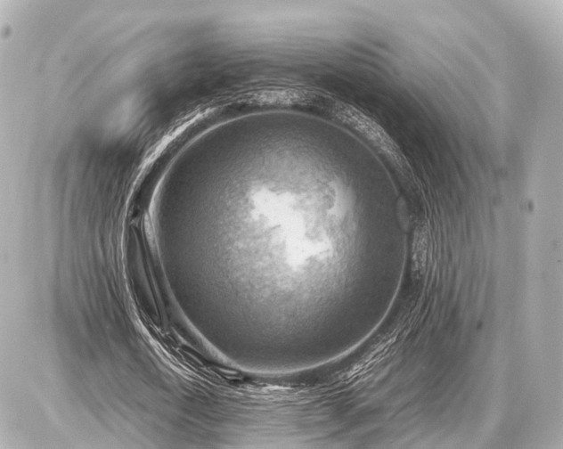 X0000087050722200704251003