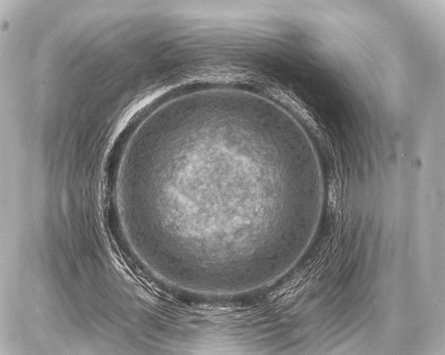 X0000087050724200704251003