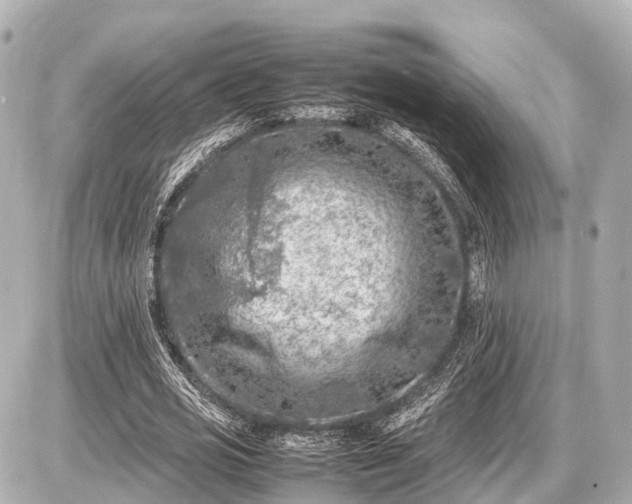 X0000087050725200704251003