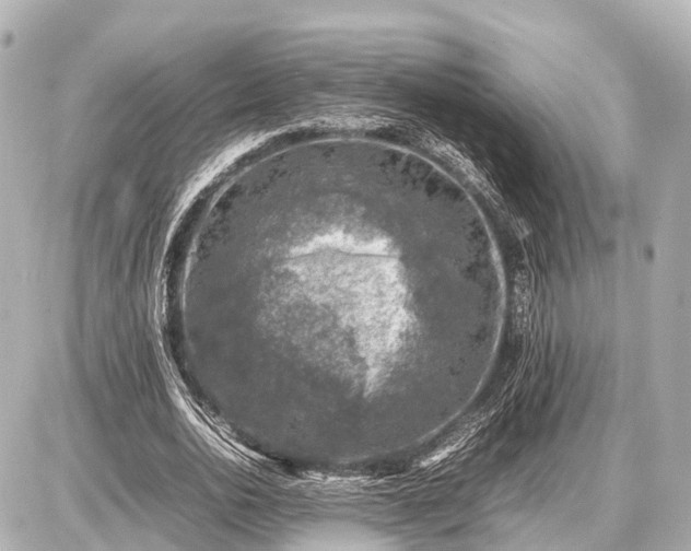 X0000087050726200704251003