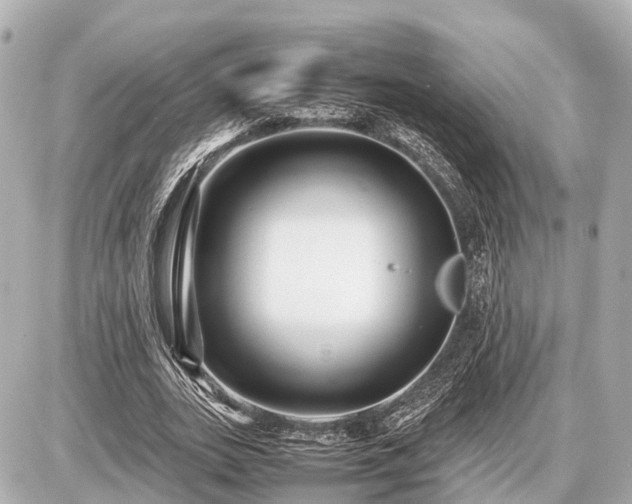 X0000087050727200704251003