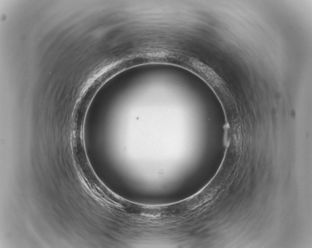 X0000087050728200704251003