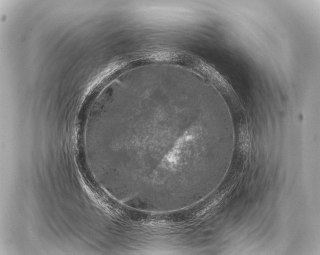 X0000087050730200704251003