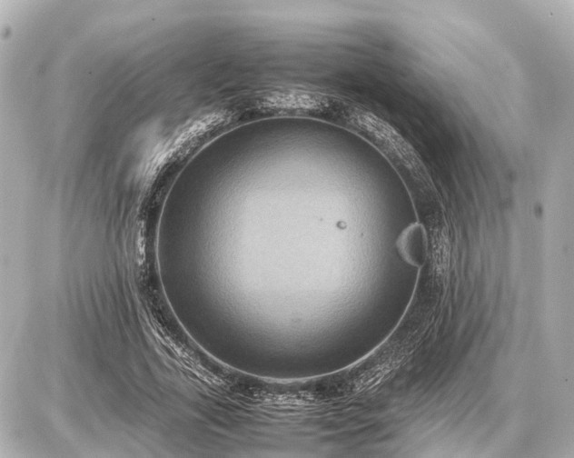 X0000087050731200704251003