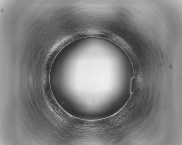 X0000087050732200704251003