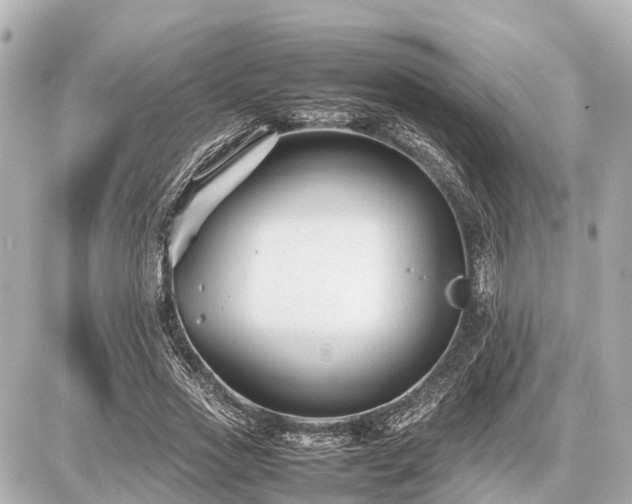 X0000087050733200704251003