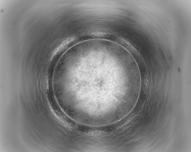 X0000087050734200704251003