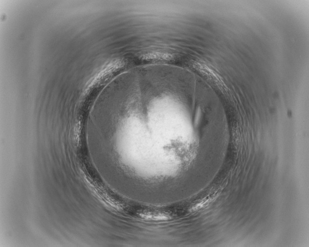 X0000087050735200704251003