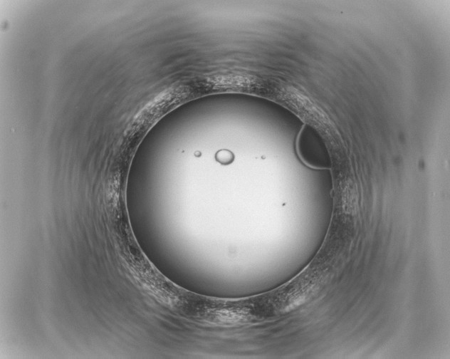 X0000087050737200704251003