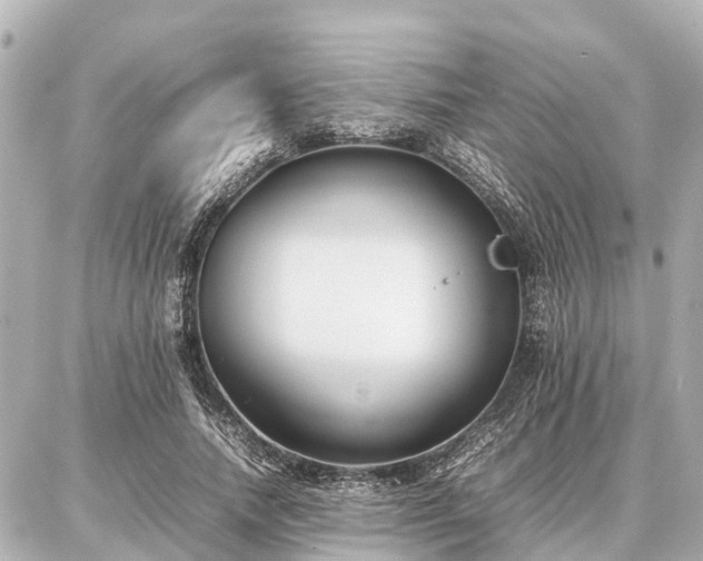 X0000087050738200704251003