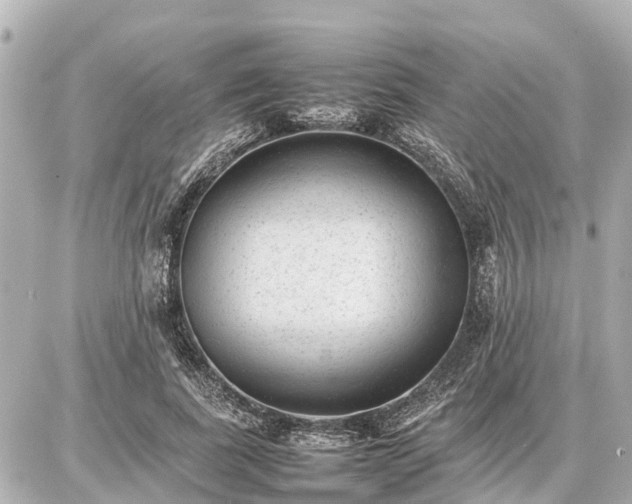 X0000087050739200704251003