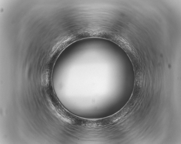 X0000087050740200704251003