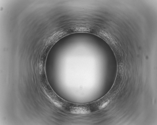 X0000087050741200704251003