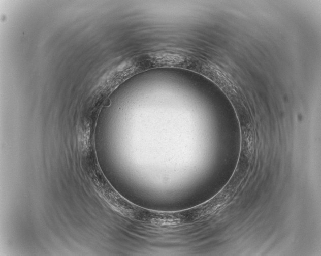 X0000087050745200704251003