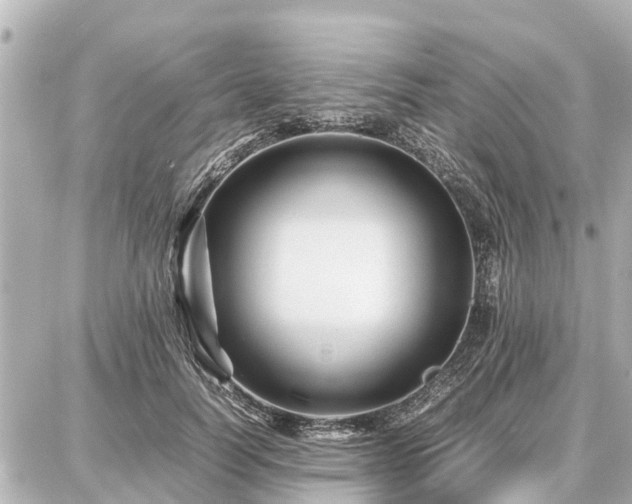 X0000087050746200704251003