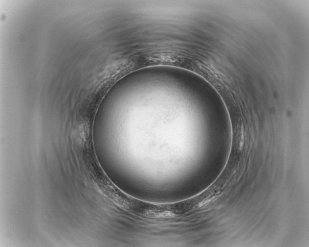 X0000087050747200704251003