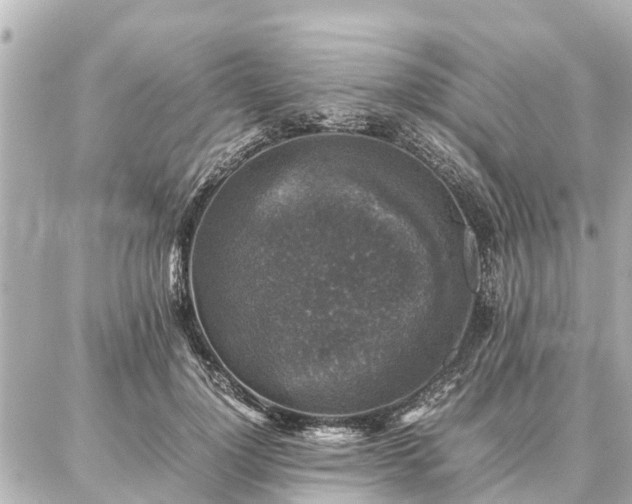 X0000087050748200704251004