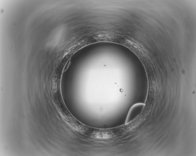 X0000087050751200704251004