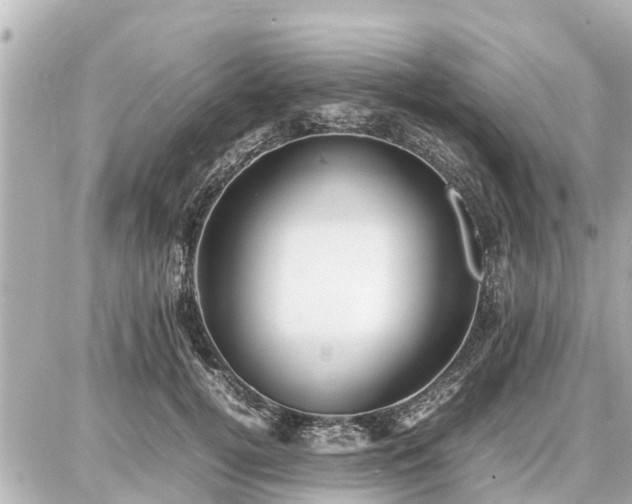 X0000087050752200704251004