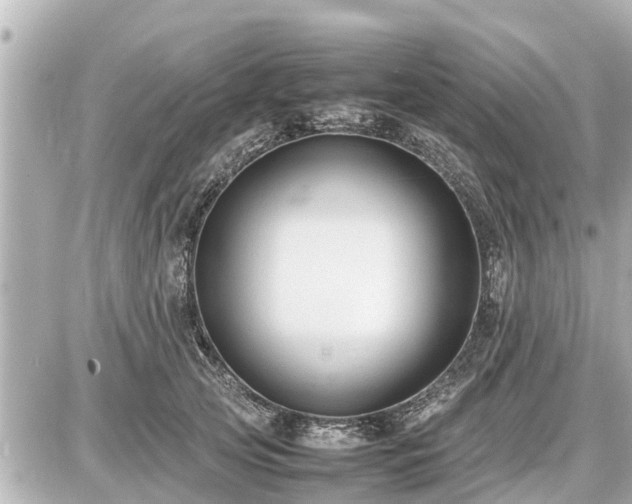 X0000087050753200704251004